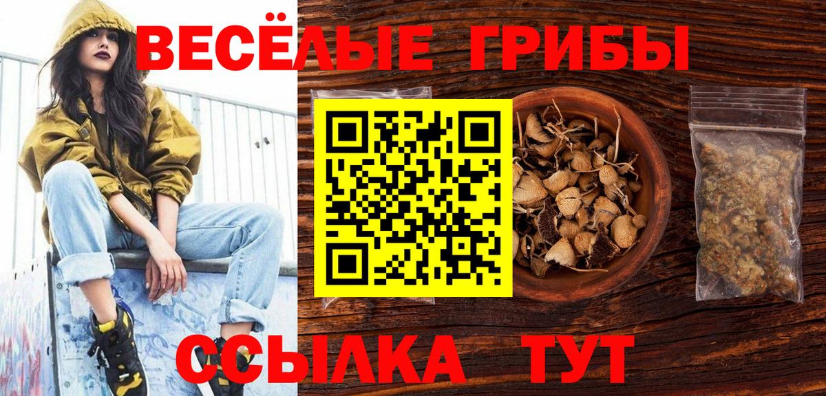 Псилоцибиновые грибы MAGIC MUSHROOMS  Галлюциногенные грибы MAGIC MUSHROOMS  Чернушка  Вход с VPN 