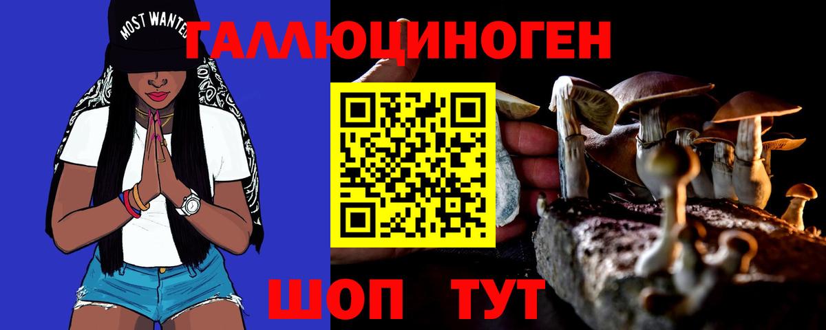 Псилоцибиновые грибы Cubensis Чернушка
